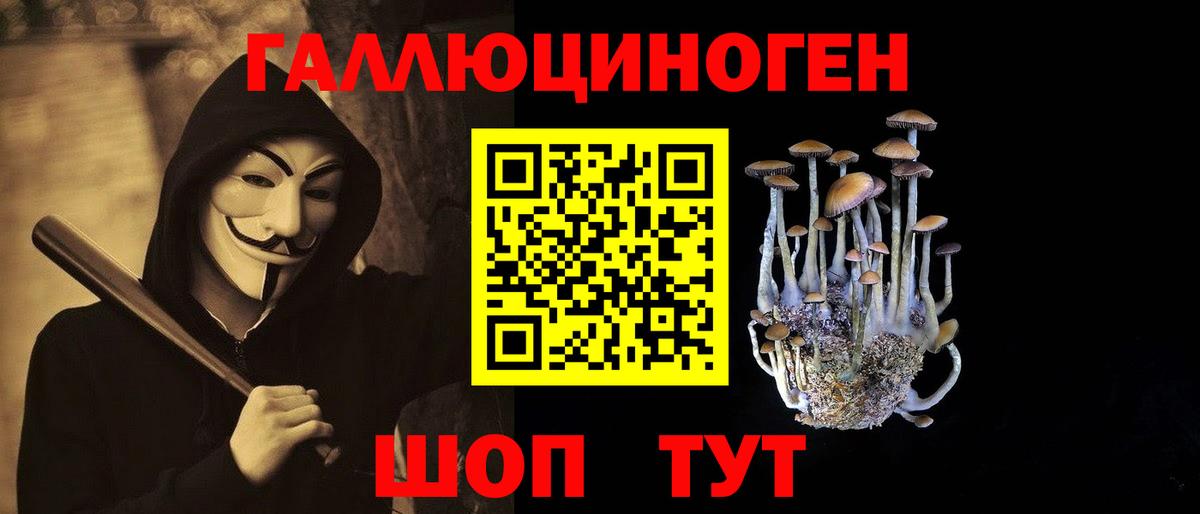 Псилоцибиновые грибы мицелий  Галлюциногенные грибы Psilocybine cubensis  Краснокаменск  Вход с VPN 